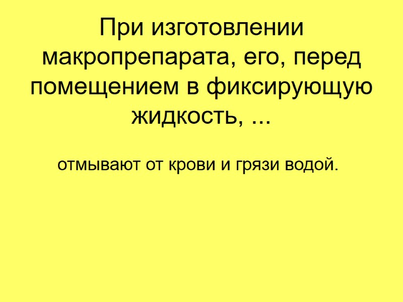 При изготовлении макропрепарата, его, перед помещением в фиксирующую жидкость, ... отмывают от крови и